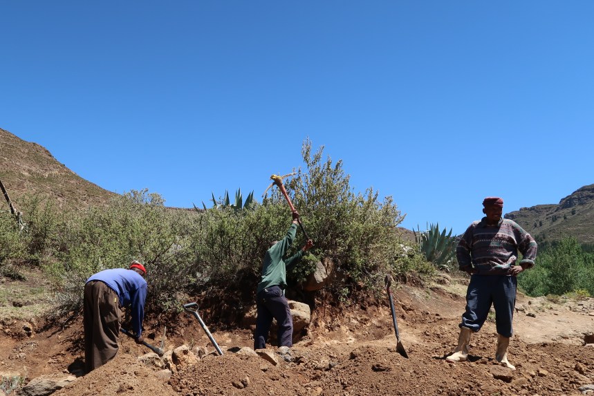 anti-erosion labor, donga recovery, drought, Malealea, Lesotho, Southern Africa, Malealea Development Trust