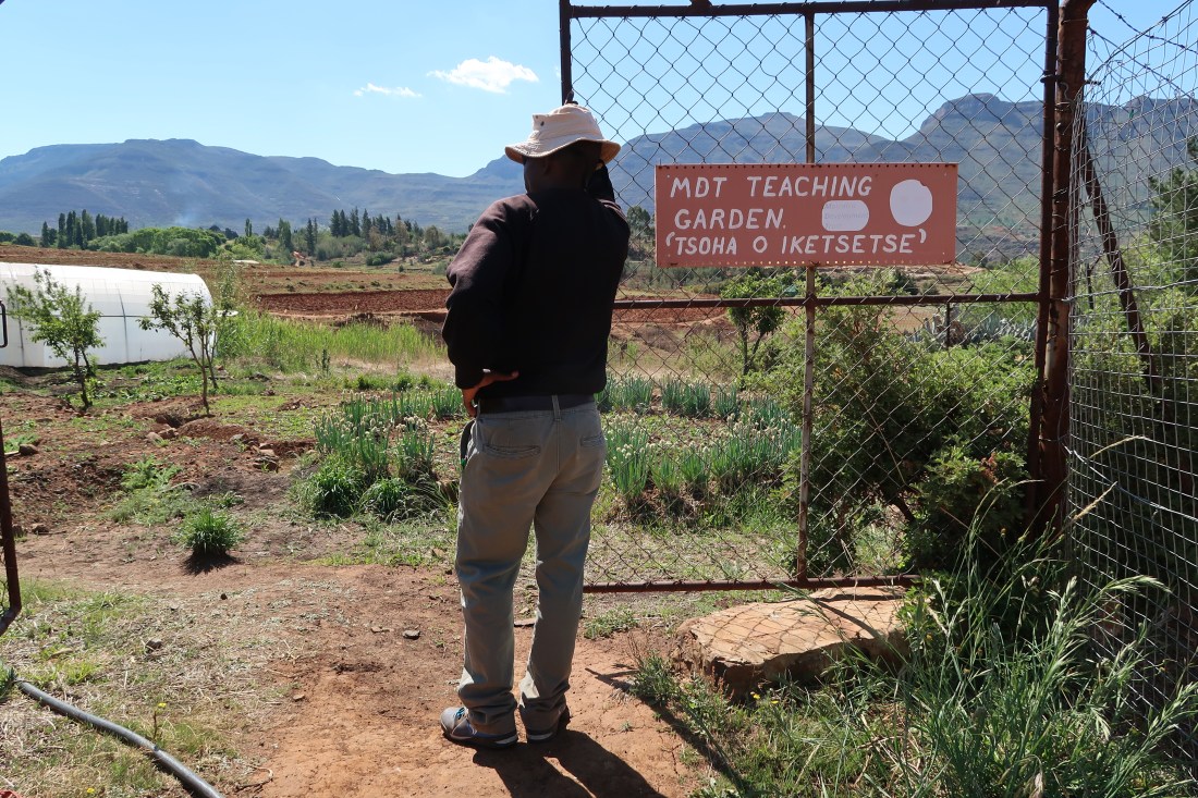 Malealea Development Trust field worker surveys the MDT's Teaching Farm with crops, mountains, and the polytunnel, conservation agricultural techniques are taught to community members here