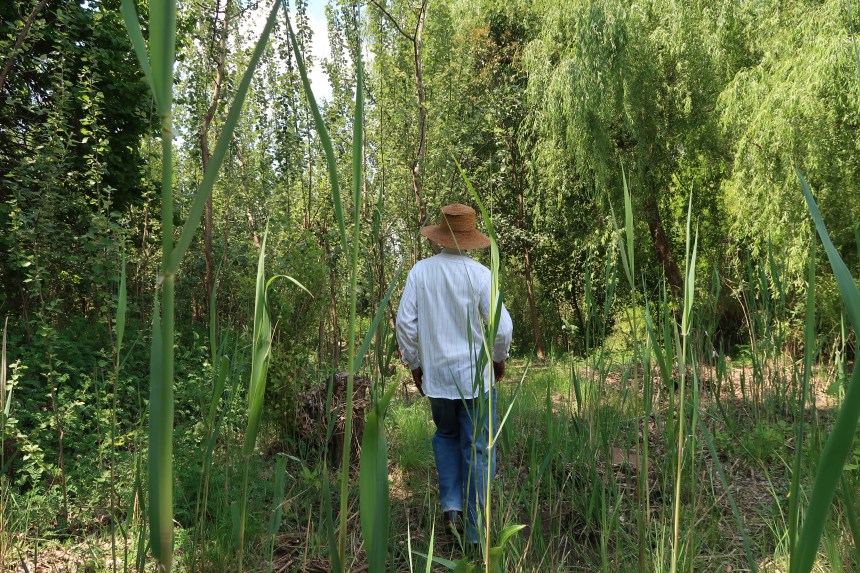 Albert Musi follows his spring