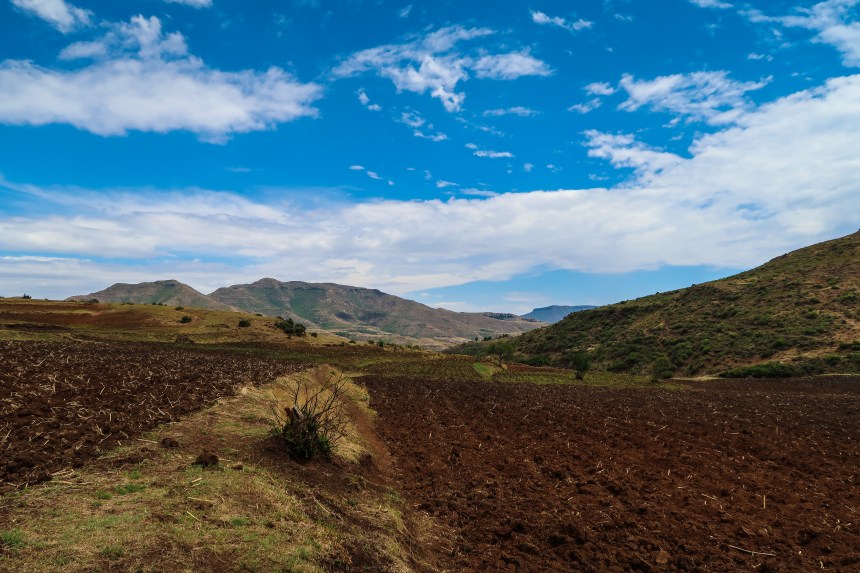 Fields in Ha Raboletsi, Roma, Lesotho, Southern Africa, photo by Kelly Benning